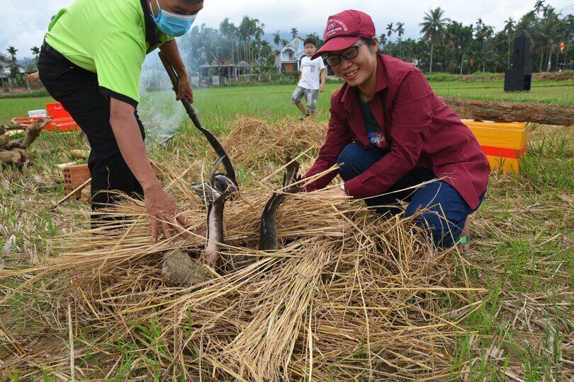 Thưởng thức món cá tràu nướng trui ngay trên đồng ruộng. Ảnh: Xuân Hoanh