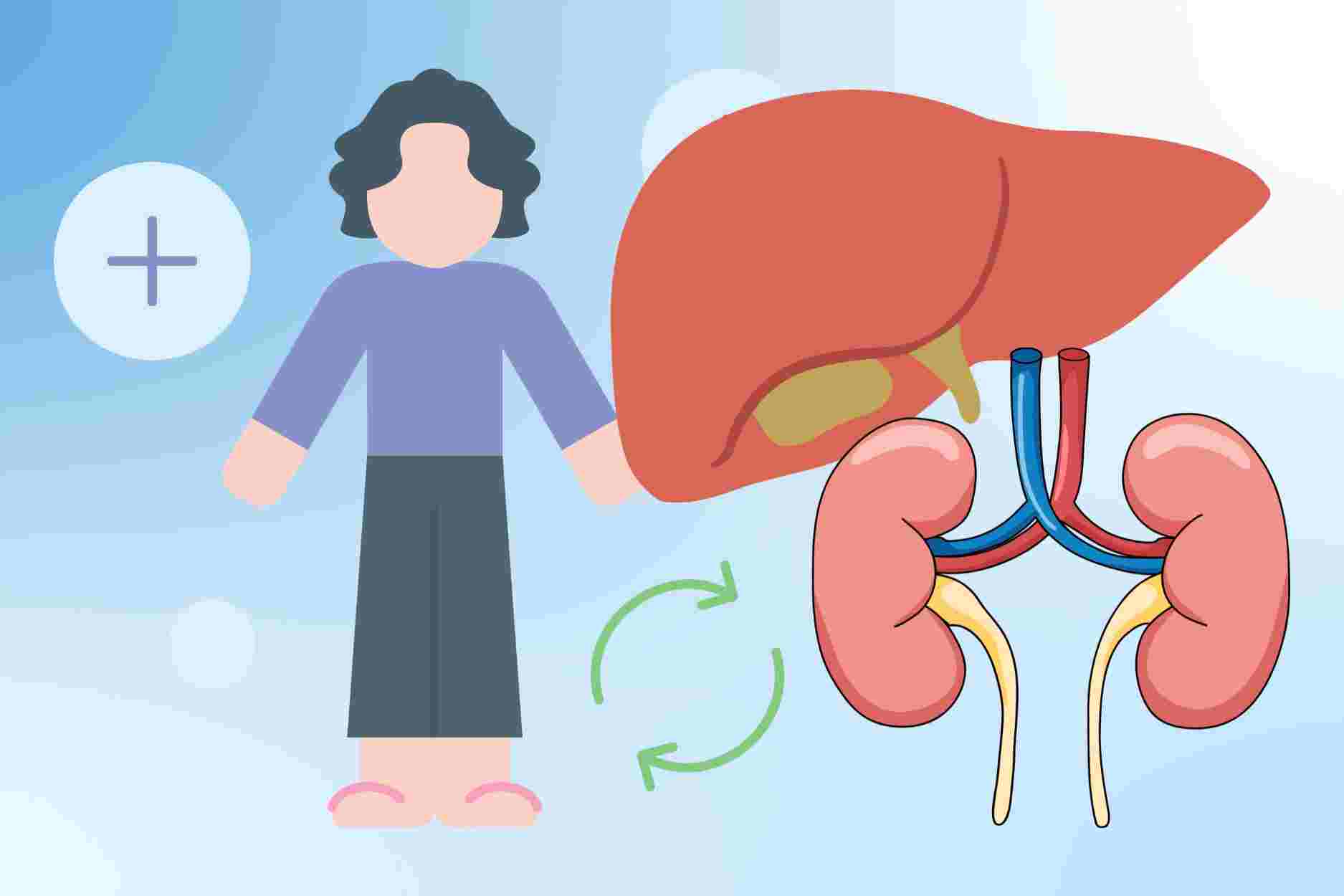 Tips to detoxify the body after the holidays, help liver and kidneys recover quickly