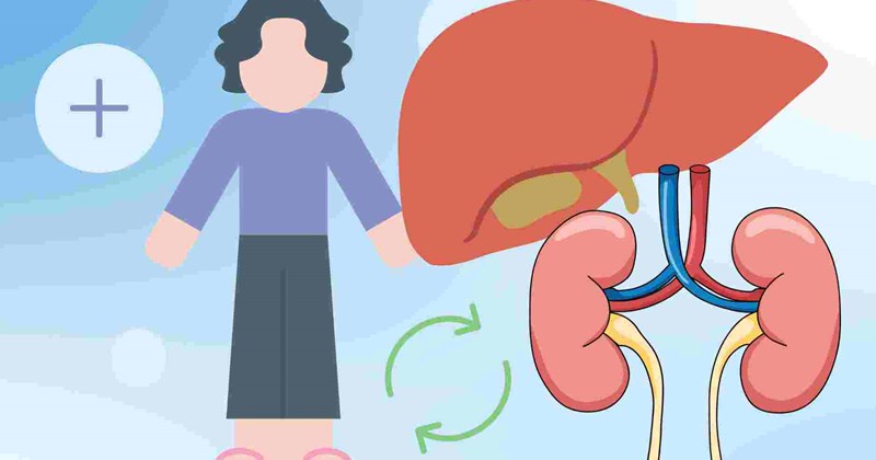 Mẹo giải độc cơ thể sau kỳ nghỉ lễ, giúp gan, thận phục hồi