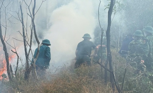 Les forces maîtrisent l'incendie de forêt. Photo: Xuan The