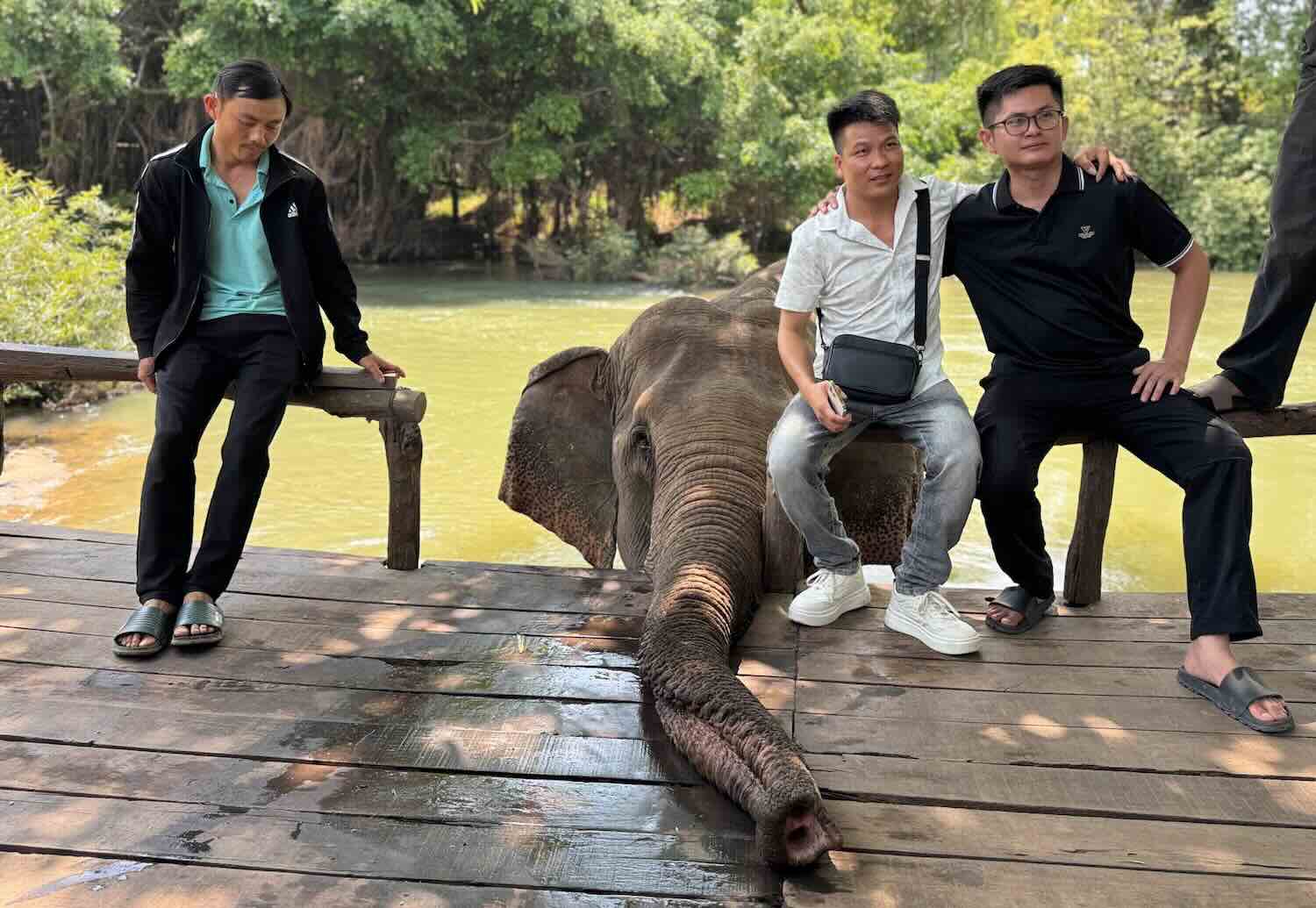 Du khách chụp ảnh cùng voi. Ảnh: Công Sáng