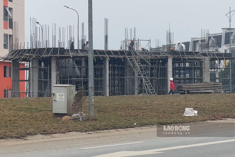 Hơn 300 công nhân được huy động để hoàn thiện dự án. Ảnh: Đinh Đại