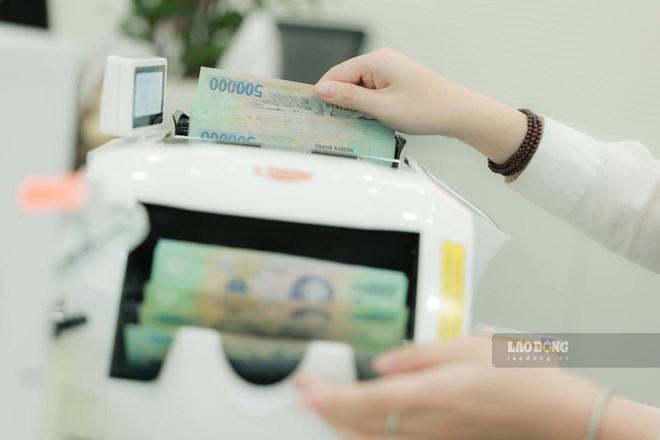 Nhóm trưởng phòng tại các công ty do Nghiêm Quốc Hưng làm chủ bị cáo buộc giúp sức doanh nghiệp trốn thuế hàng chục tỉ đồng. Ảnh: H.Nguyễn