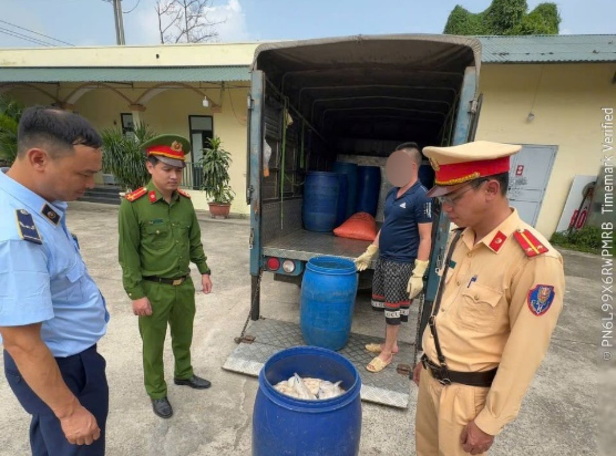 Exhibits discovered by functional forces. Photo: Hung Yen Police