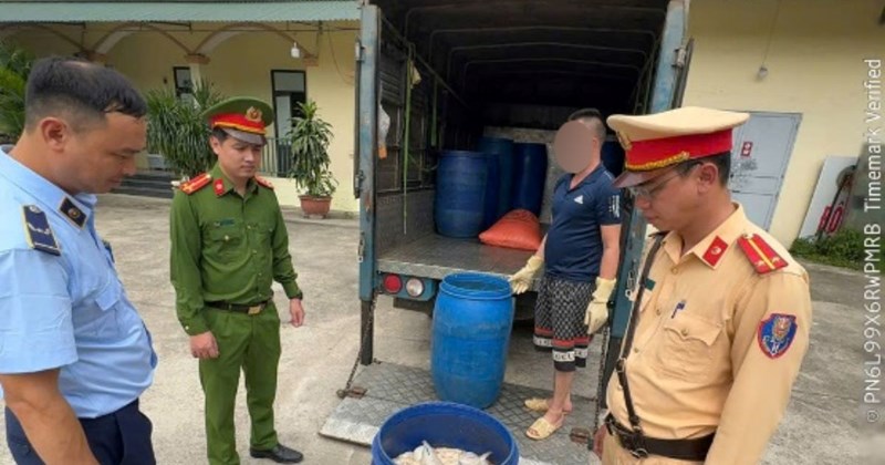 Hưng Yên tiêu hủy hơn 1 tấn nội tạng lợn bốc mùi