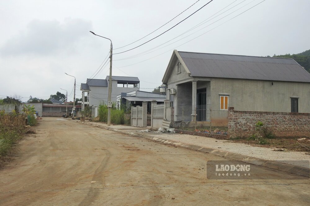 フートー省の再定住地10区画が間もなく競売にかけられます。写真:トー・コン