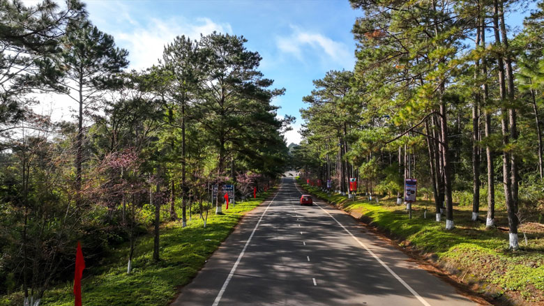 Natural green forest along the road to the center of Mang Den. Photo: Tra Ban