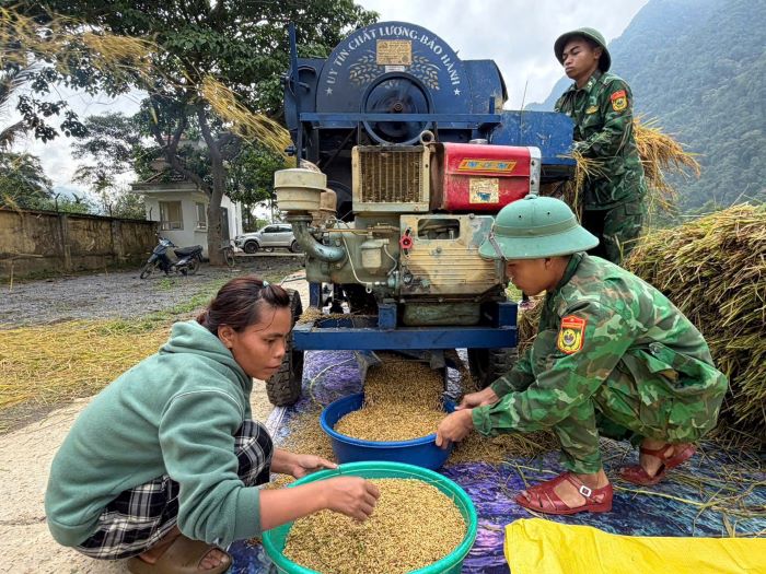 Sau khi gặp lúa, lính biên phòng hỗ trợ người dân tuốt lúa. Ảnh: Hàn Nguyên