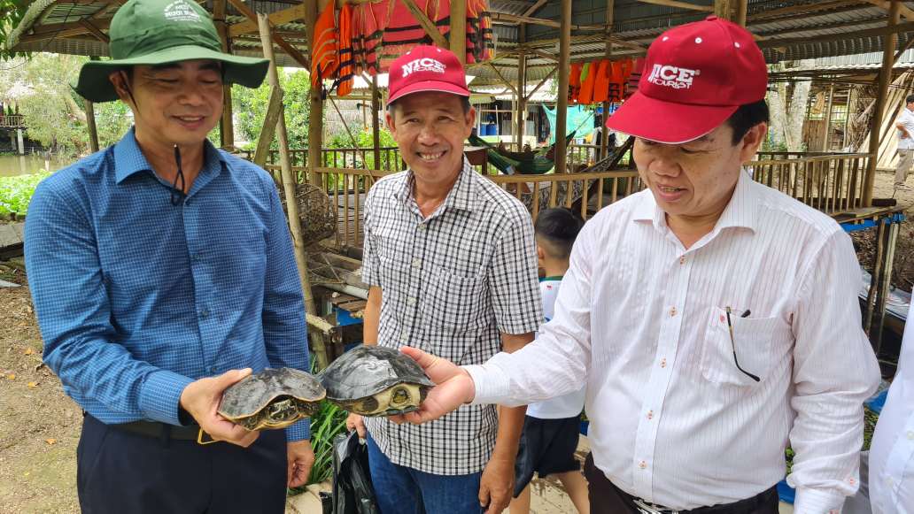 Bắt được rùa khá to tại Khu du lịch Mười Ngọt, Cà Mau. Ảnh: Nhật Hồ.