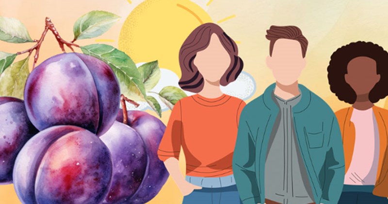 Ăn mận mùa hè an toàn: Bí quyết từ chuyên gia
