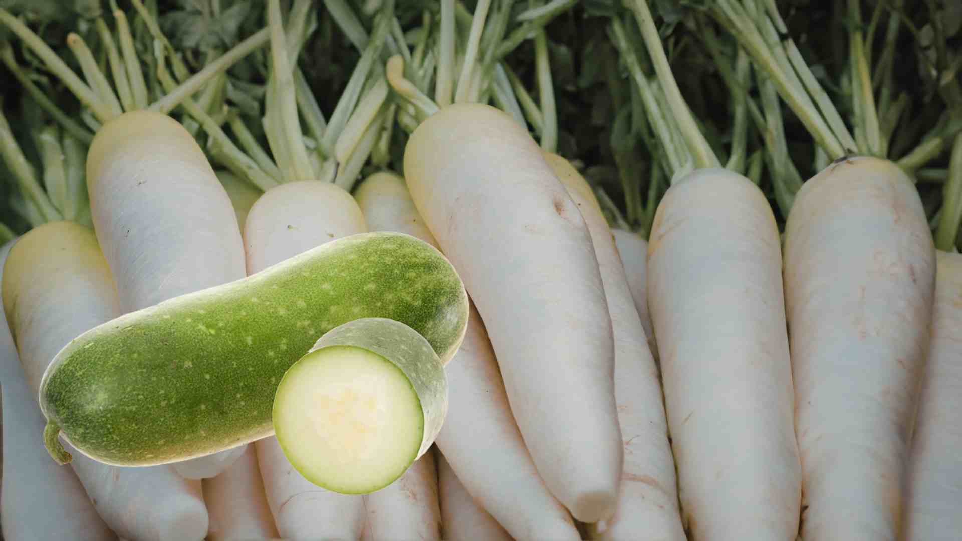 Winter melon or white radish is a suitable food for use in hot weather. Graphic photo: Huong Son