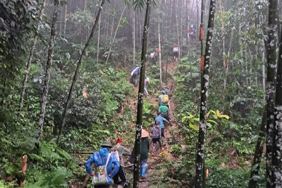 Searching for missing victims in the deep forest. Photo: Bac Quang Commune People's Committee