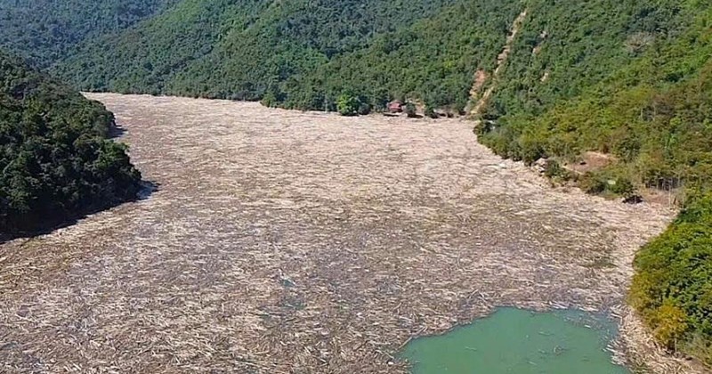 Directing the treatment of waste drifting on the Bản Vẽ hydropower lake