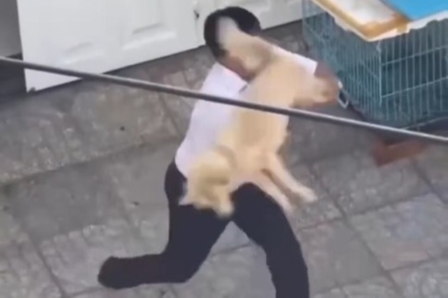 Image of a man using a dog as an object to beat a shipper. Photo cut from clip