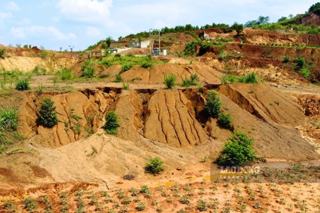 Nearly 7 tons of minerals, which are soil and rock containing gold, are about to be auctioned. Photo: Viet Bac
