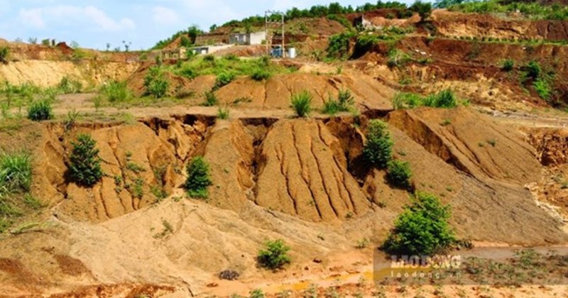 Phú Thọ đấu giá gần 7 tấn khoáng sản chứa vàng là tang vật