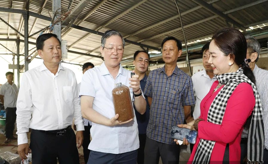 党中央委員、ベトナム祖国戦線中央委員会副委員長、ベトナム農民協会会長のルオン・クオック・ドアン氏(左から2番目)が、優秀な生産農家チャウ・ティ・ヌオン氏(アンザン省)の循環型経済モデルを視察。写真:ファム・フン