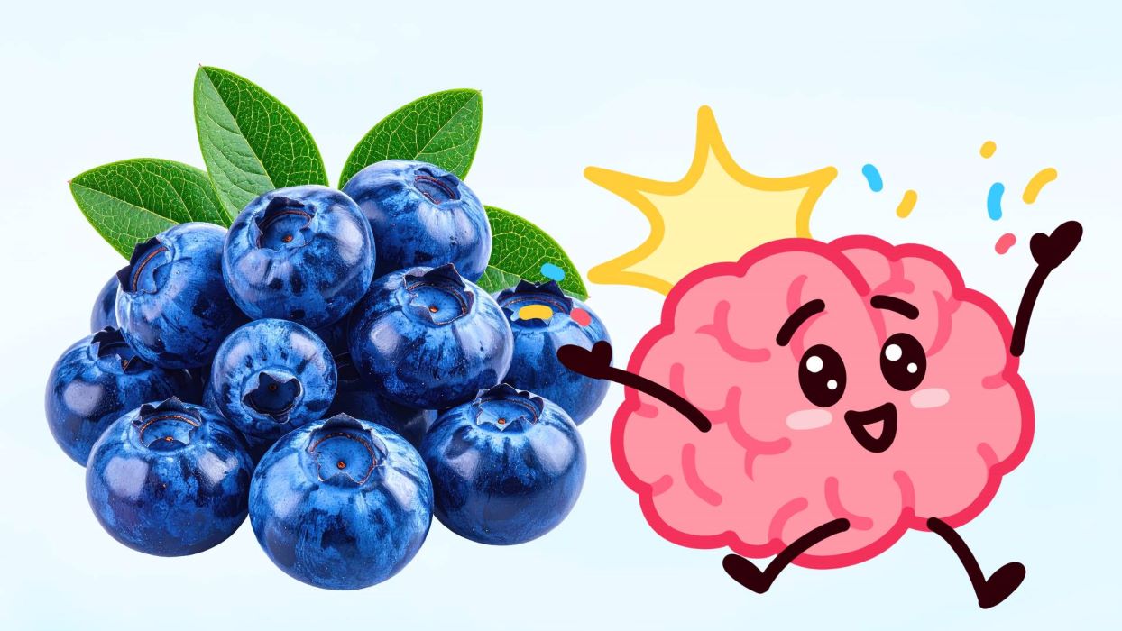 Adding blueberries to the diet supports reducing inflammation and is good for the brain. Graphics: Thanh Thanh