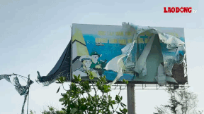Old signboard blown apart by the wind on the coast of Vung Tau. Photo: Thanh An