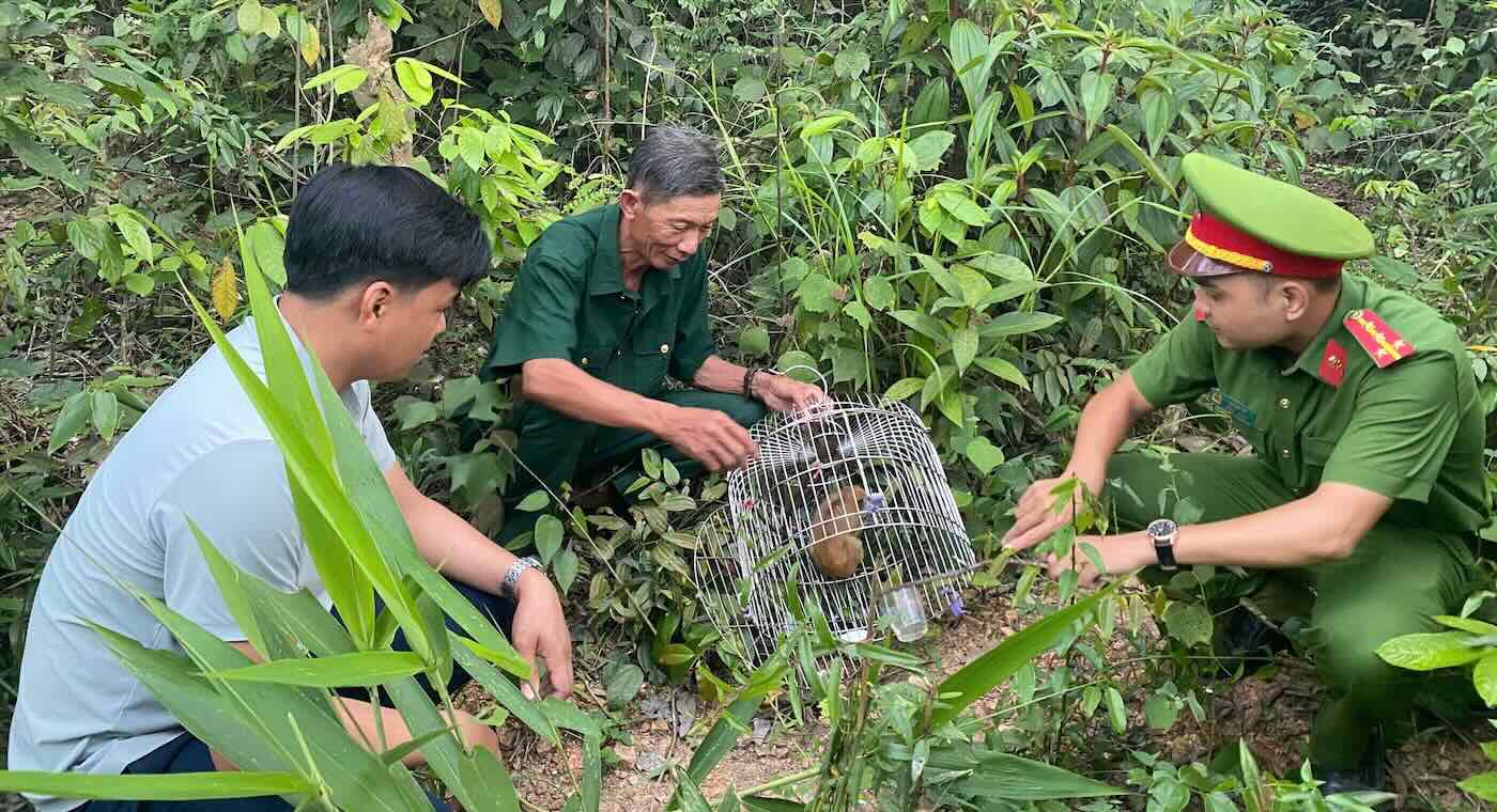 Rare cu lilies were discovered by people and handed over to functional forces. Photo: Trung Thuan Commune Police