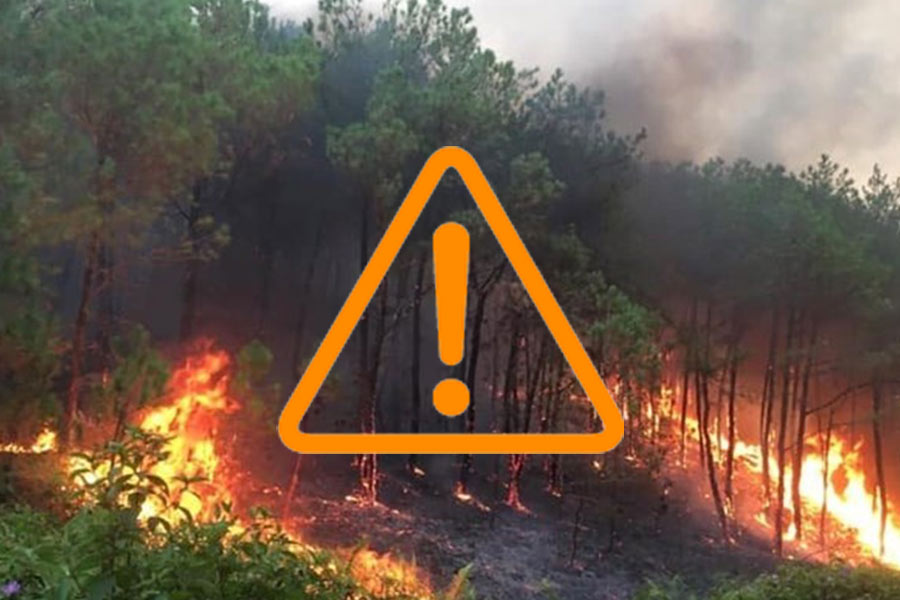 Fines for intentionally falsely reporting forest fires