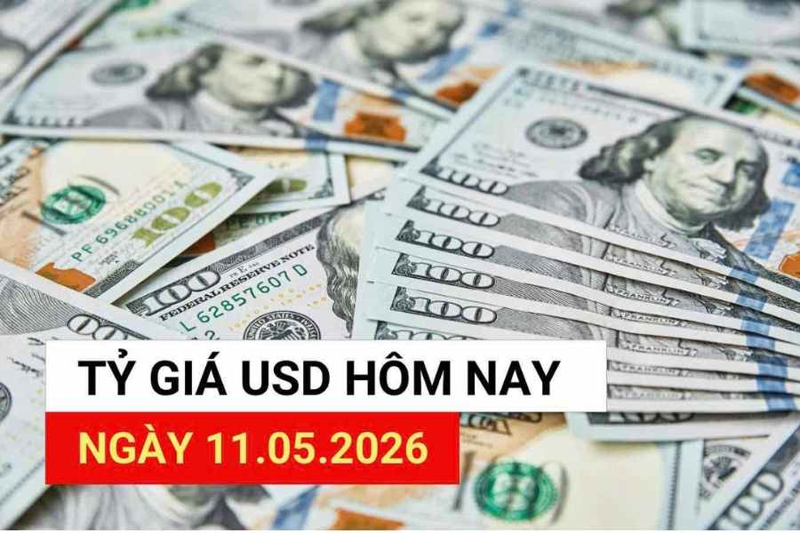 USD exchange rate today 11. 5: New USD forecast