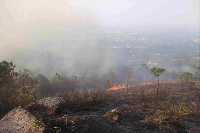 The level of penalties for violating state regulations on forest protection is the content that readers are interested in. In the photo is the pine forest fire that occurred on Dai Binh mountain (Lam Dong) in the afternoon of April 2. Photo: Phuc Khanh