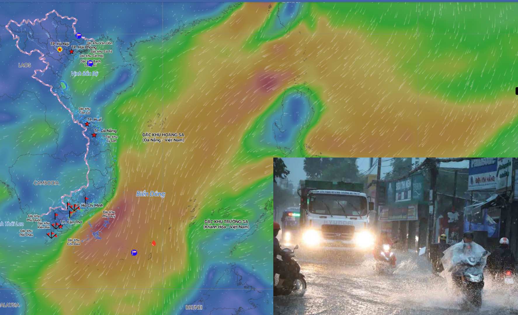 今後1ヶ月間の台風、低気圧、雨、猛暑の傾向予測