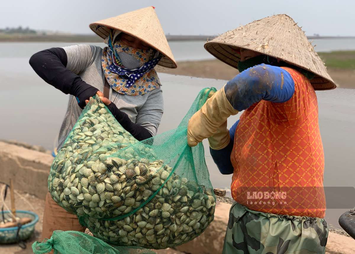 Nhiều phụ nữ 