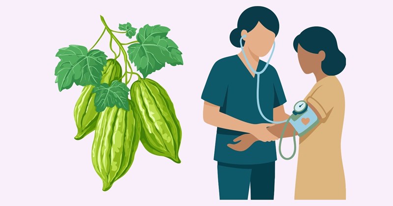 Tại sao người huyết áp thấp không nên ăn nhiều mướp đắng