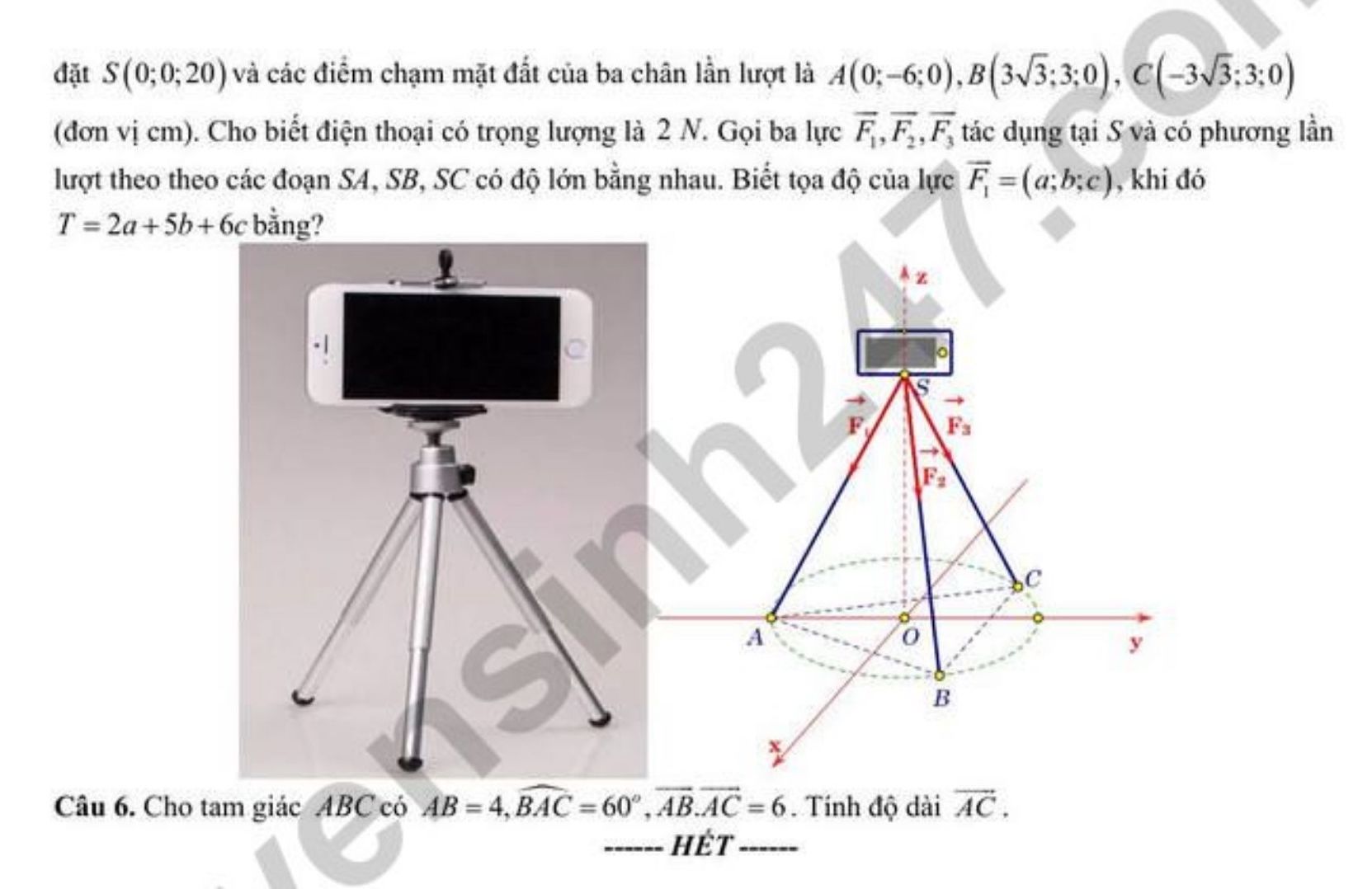 Đề thi thử tốt nghiệp THPT 2026 môn Toán - Cụm chuyên môn số 4 Sở GDĐT Đắk Lắk.  Ảnh: Tuyensinh247