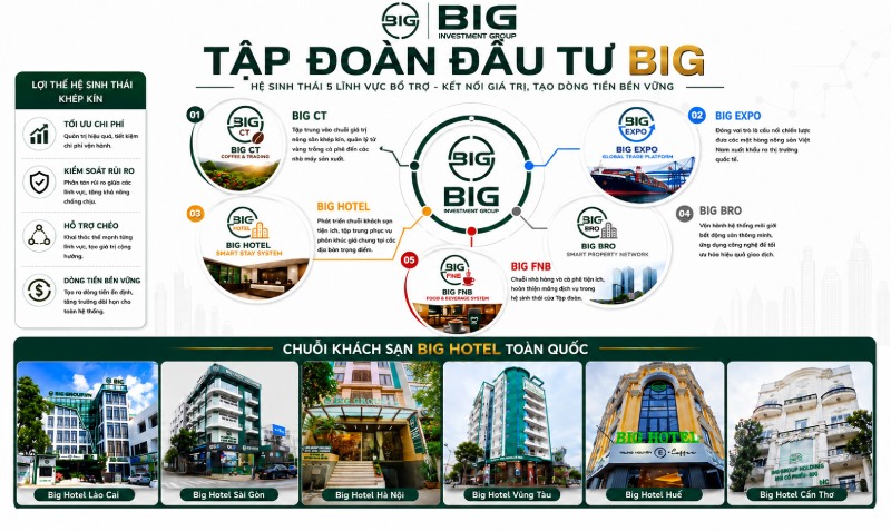 Ecosystem of companies and hotel chains of BIG Investment Group. Photo: BIG Investment Group Company