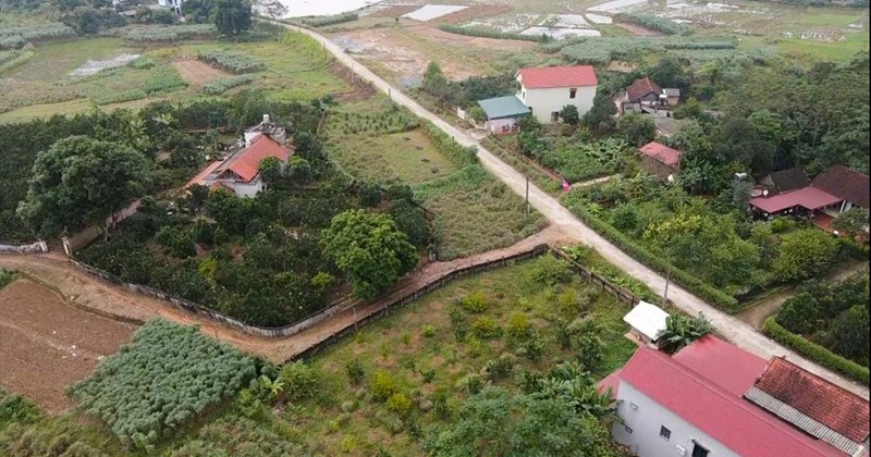 Lấn chiếm, chiếm dụng rừng bị phạt đến 80 triệu đồng từ 25/6