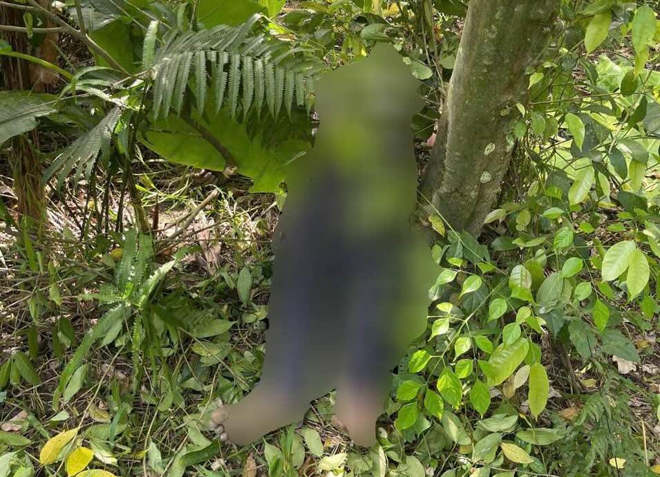 Functional forces find the body of the suspect in the woman's death case in Quang Tri. Photo: Van Xuan