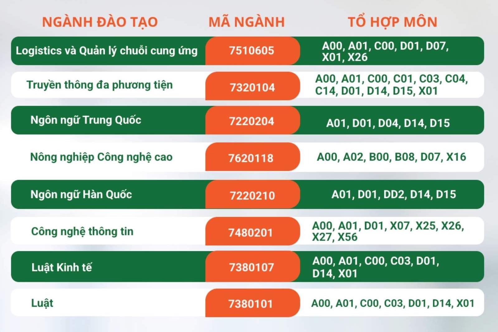 Các ngành đào tạo dự kiến tuyển sinh năm 2026 của Trường Đại học Tân Tạo. Ảnh: Trường Đại học Tân Tạo 