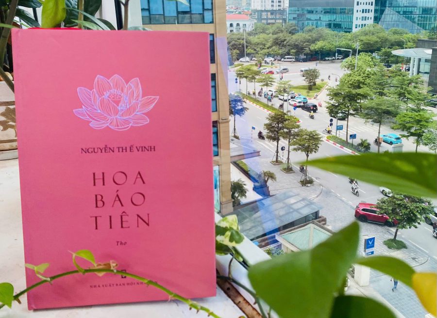 Book cover "Hoa Bao Tien" by author Nguyen The Vinh. Photo: Mi Lan