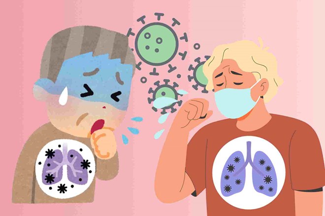 Ministry of Health speaks out about the cluster of cases caused by Hanta virus. Graphics: Hoang Khoi