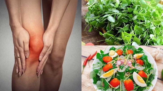 A healthy diet can effectively support uric acid control. Photo: Thuy Dung