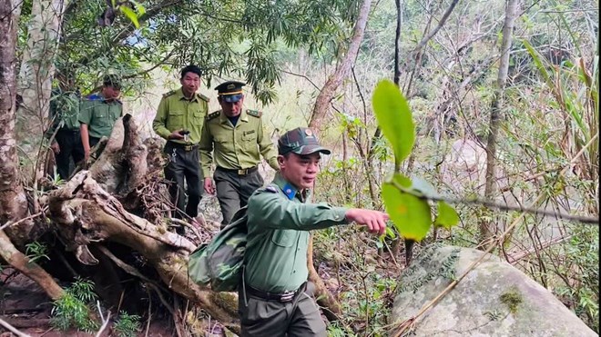 Mức xử phạt khi phá hủy các công trình bảo vệ và phát triển rừng là nội dung được bạn đọc quan tâm. Trong ảnh là cán bộ Trung tâm Bảo vệ rừng và Di sản thế giới (thuộc Ban Quản lý Vườn Quốc gia Phong Nha - Kẻ Bàng, tỉnh Quảng Trị) đang tuần tra, bảo vệ rừng. Ảnh: Công Sáng