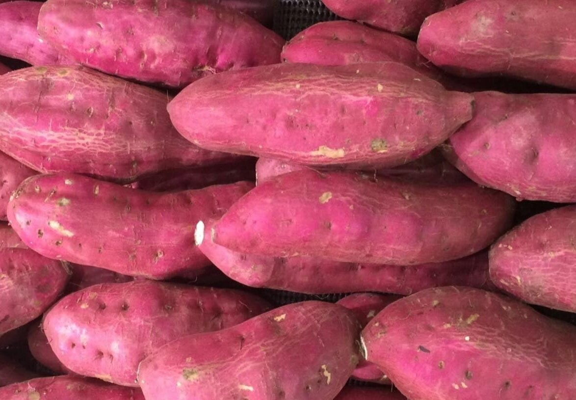 Whether eating sweet potatoes with the skin is beneficial or harmful is a question for many people. Photo: Kieu Vu
