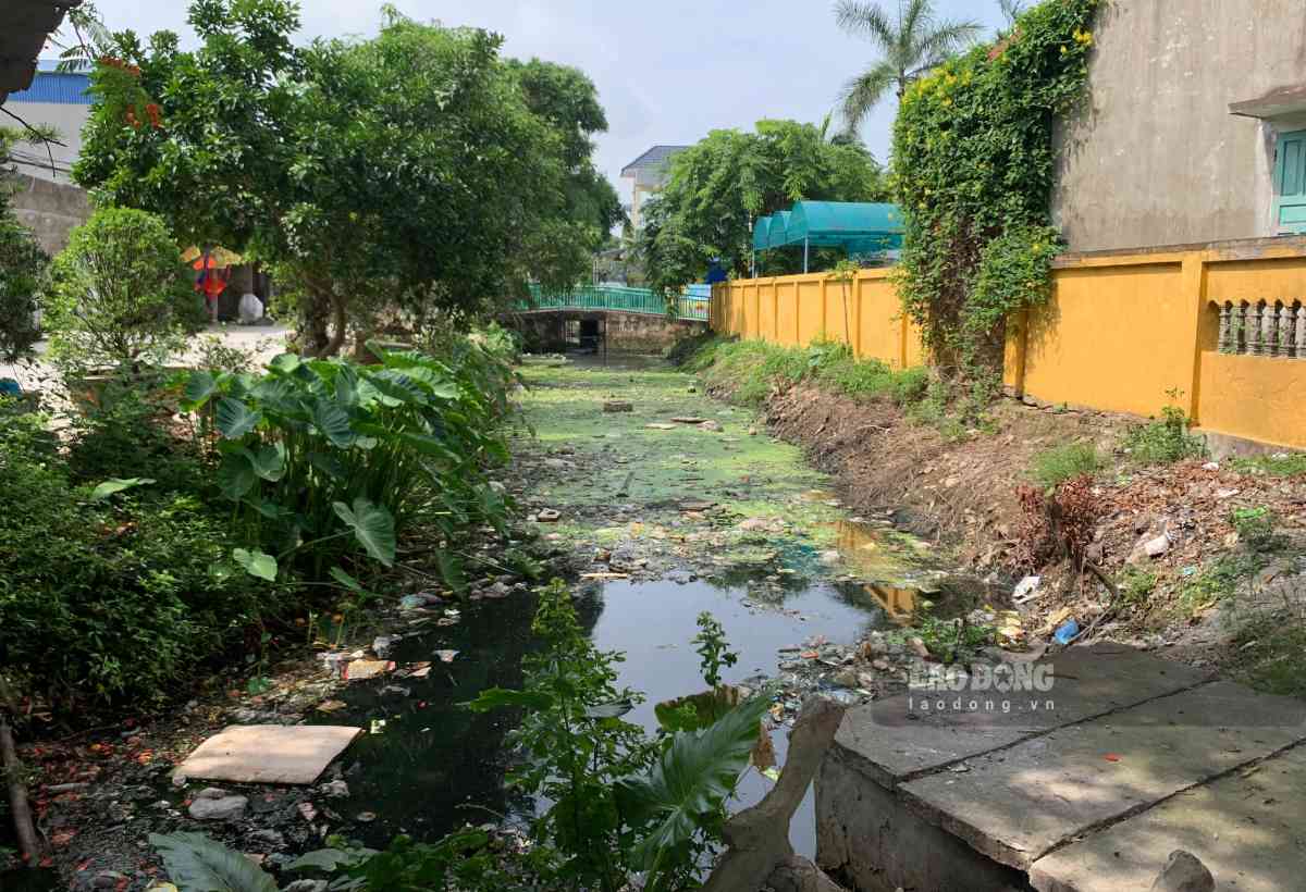 Nước mương đen xì, bốc mùi hôi thối. Ảnh: Hà Vi