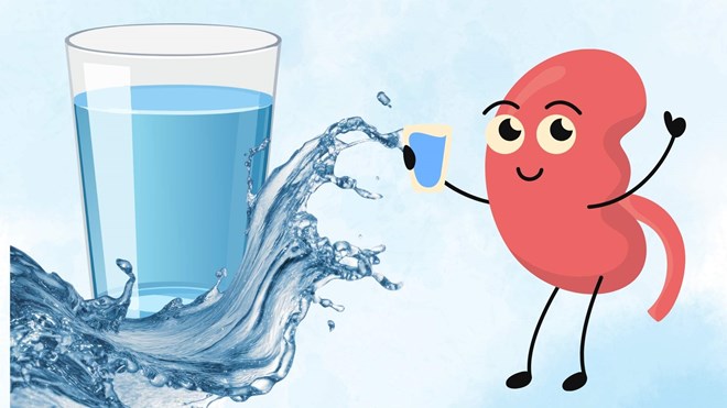 Filtered water is a simple choice to help protect and maintain healthy kidneys every day. Graphics: Minh Vu