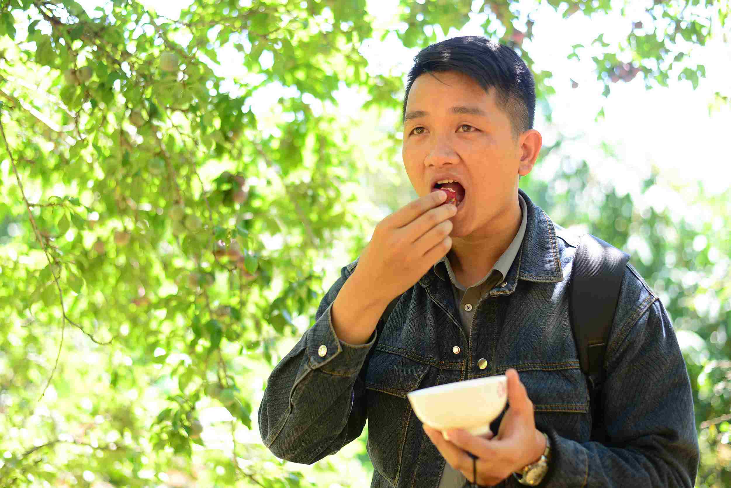 Khách thưởng thức mận tam hoa tại vườn. Ảnh: Phúc Khánh 