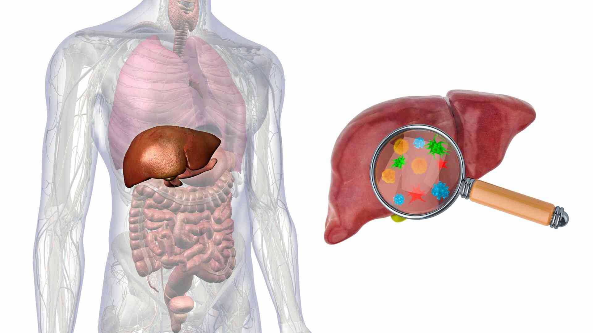 Early recognition of signs of boils, jaundice warns of reduced liver function that needs to be detoxified. Photo: Canva