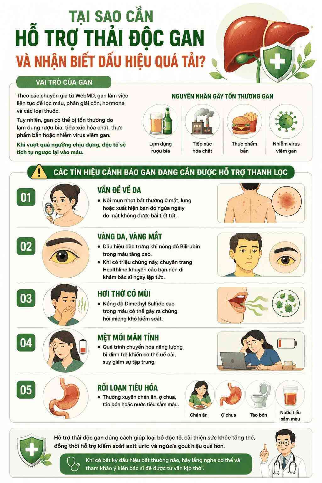 Infographic: Tóm tắt các nguyên nhân gây quá tải gan và dấu hiệu nhận biết cơ thể cần hỗ trợ thải độc gan. Đồ họa: Trà My