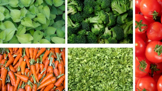 5 nhóm rau củ nổi bật có tác dụng hỗ trợ thải độc gan hiệu quả. Ảnh: Canva