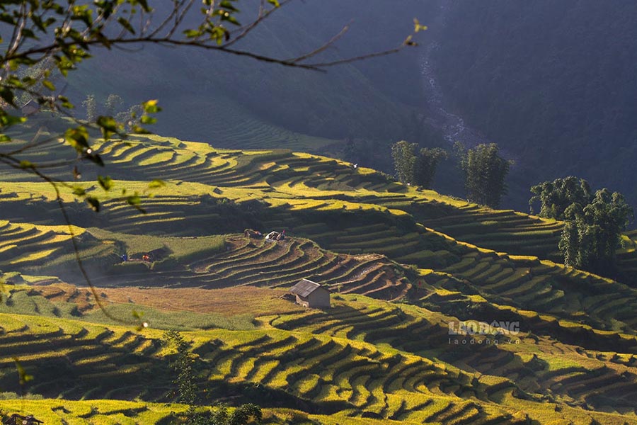 Decree 299/2025/ND-CP creates a turning point for tourism in the border area of Lao Cai. Photo: Hai Nguyen