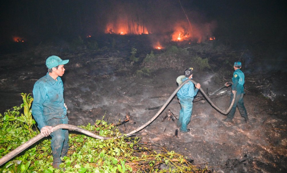 Forces participating in forest fire fighting in Co To commune. Photo: Phuong Vu
