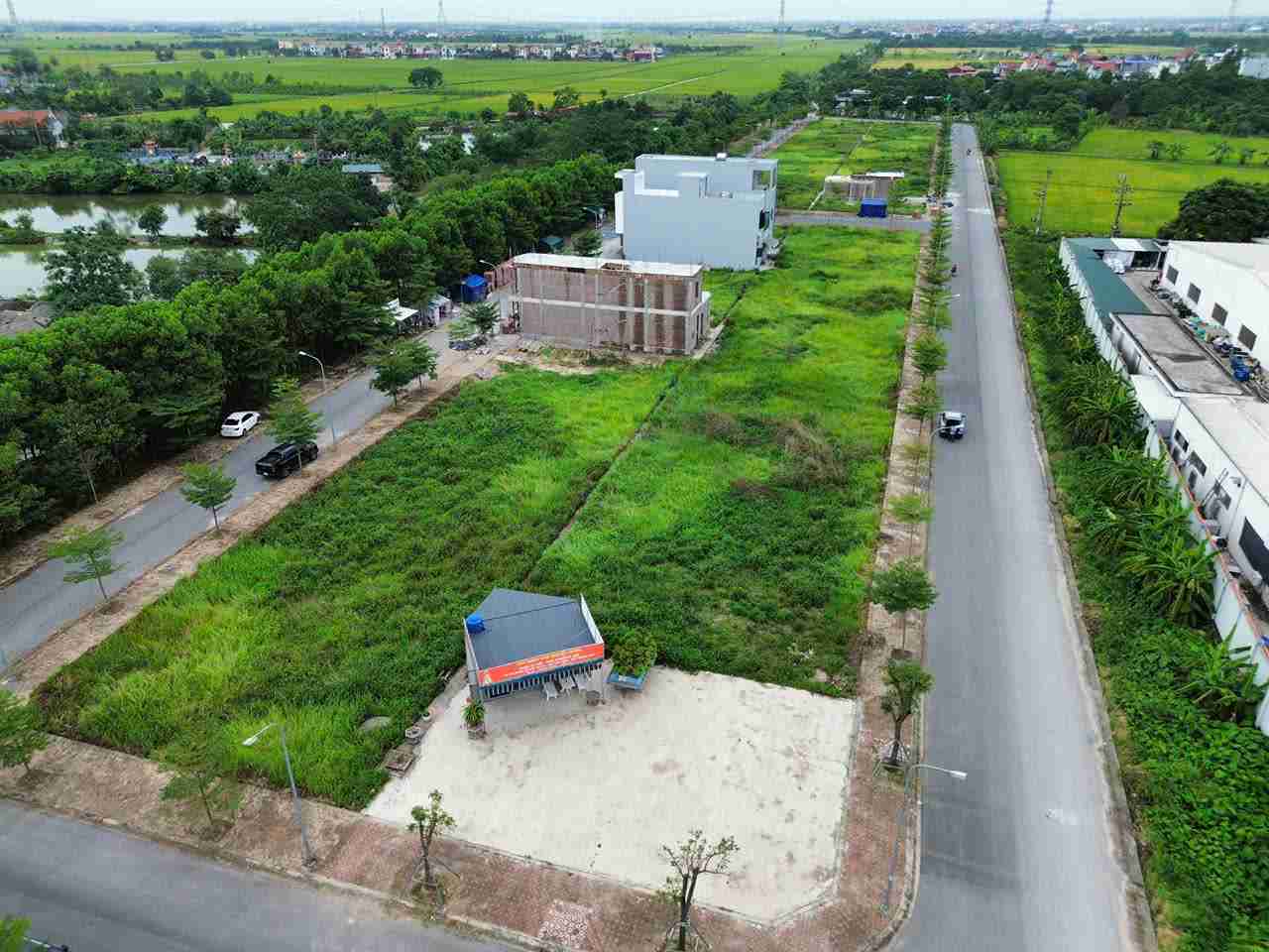 Nguyen Luong Bang commune is about to auction 37 residential land plots, priced from 15 million VND/m2. Photo: Mai Huong