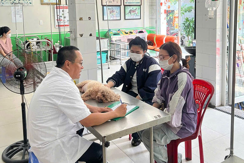 Bác sĩ thú y Nguyễn Ngọc Trường Sơn - Giám đốc Bệnh viện thú y Trường Sơn thăm khám cho chó. Ảnh: NVCC